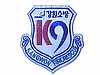 Kangwon Fire Rescue
